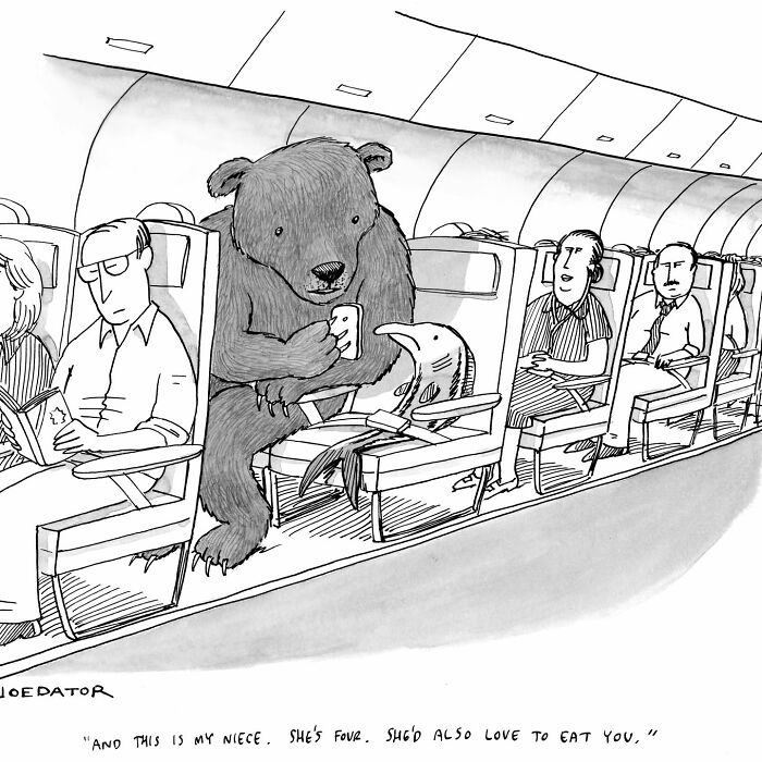 A cartoonist showing everyday absurdity with a bear holding a phone, sitting next to a dolphin on a plane.