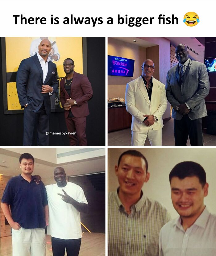 Xavier meme illustrating the bigger fish concept with images of celebrities, featured in hilarious posts.