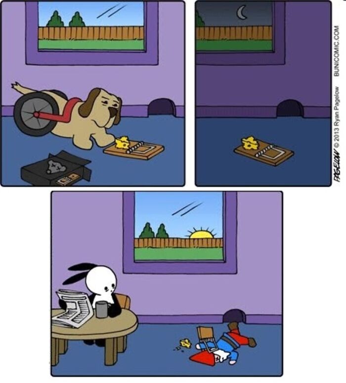 This Grumpy Dog In A Wheelchair Quietly Became One Of The Best Characters In Ryan Pagelow’s Buni Comics (34 Pics)