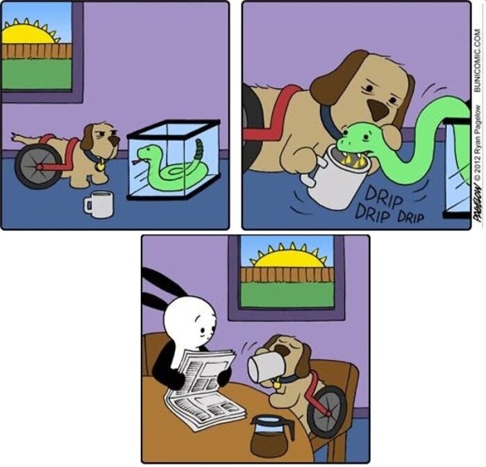This Grumpy Dog In A Wheelchair Quietly Became One Of The Best Characters In Ryan Pagelow’s Buni Comics (34 Pics)