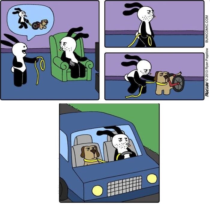 This Grumpy Dog In A Wheelchair Quietly Became One Of The Best Characters In Ryan Pagelow’s Buni Comics (34 Pics)
