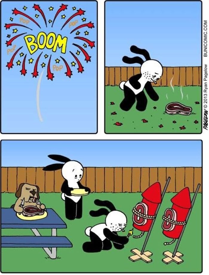 This Grumpy Dog In A Wheelchair Quietly Became One Of The Best Characters In Ryan Pagelow’s Buni Comics (34 Pics)