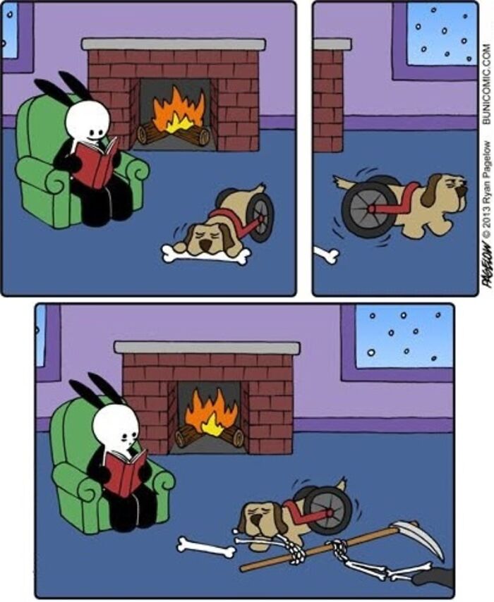 This Grumpy Dog In A Wheelchair Quietly Became One Of The Best Characters In Ryan Pagelow’s Buni Comics (34 Pics)