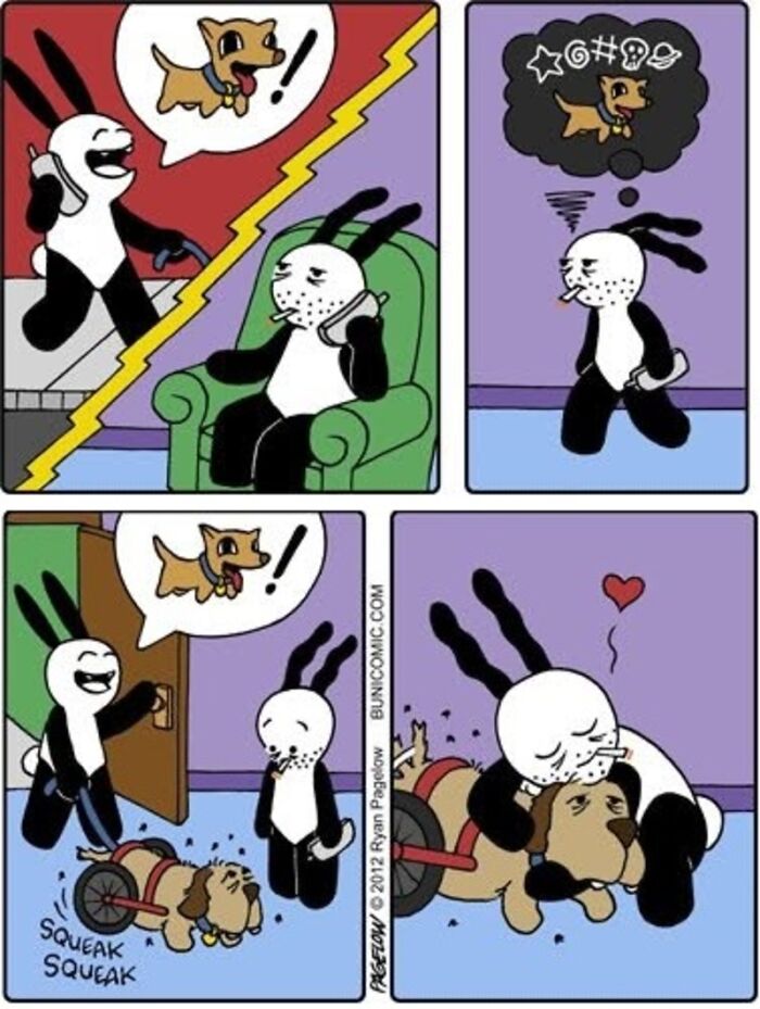 This Grumpy Dog In A Wheelchair Quietly Became One Of The Best Characters In Ryan Pagelow’s Buni Comics (34 Pics)