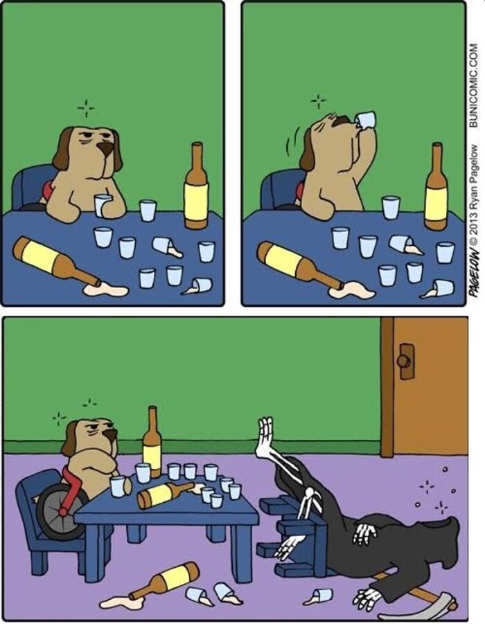 This Grumpy Dog In A Wheelchair Quietly Became One Of The Best Characters In Ryan Pagelow’s Buni Comics (34 Pics)