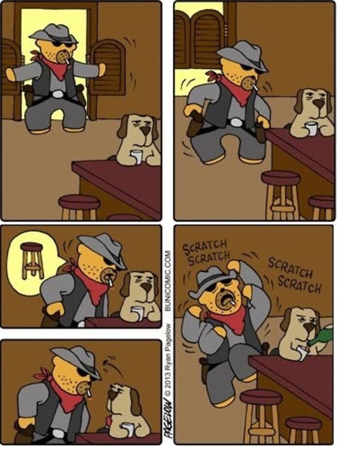 This Grumpy Dog In A Wheelchair Quietly Became One Of The Best Characters In Ryan Pagelow’s Buni Comics (34 Pics)