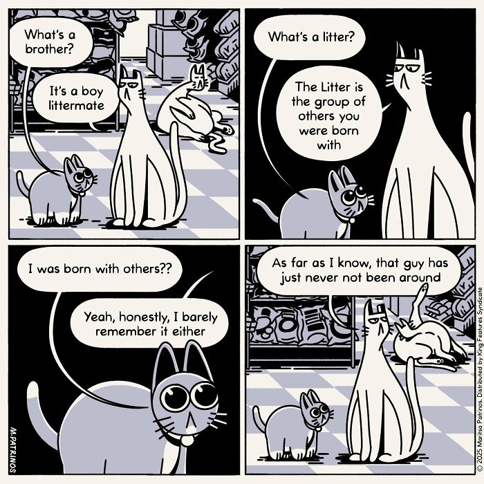 A cartoon of cats with jobs: two cats discussing the meaning of brother and litter.