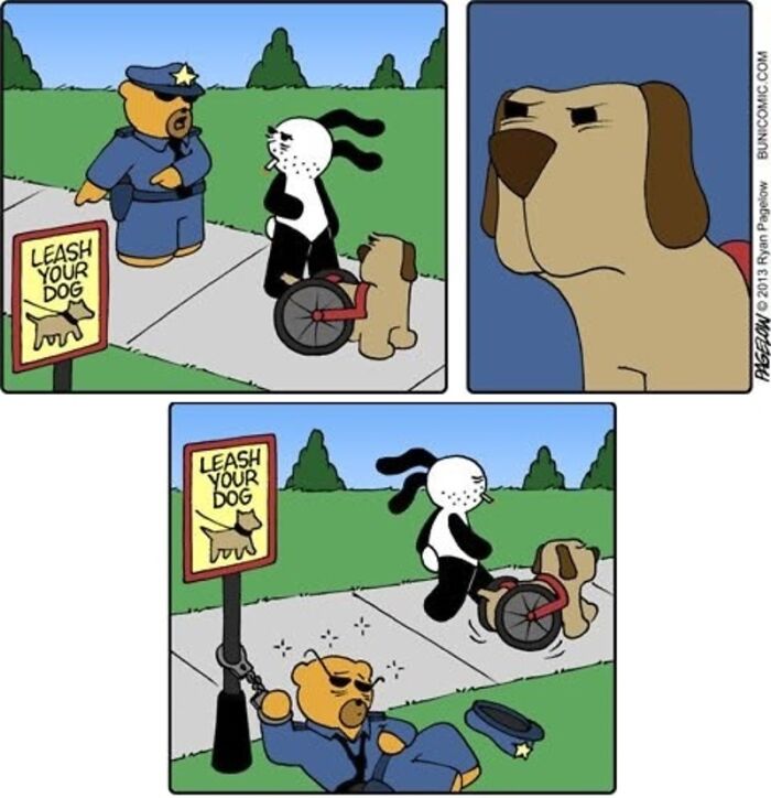 This Grumpy Dog In A Wheelchair Quietly Became One Of The Best Characters In Ryan Pagelow’s Buni Comics (34 Pics)
