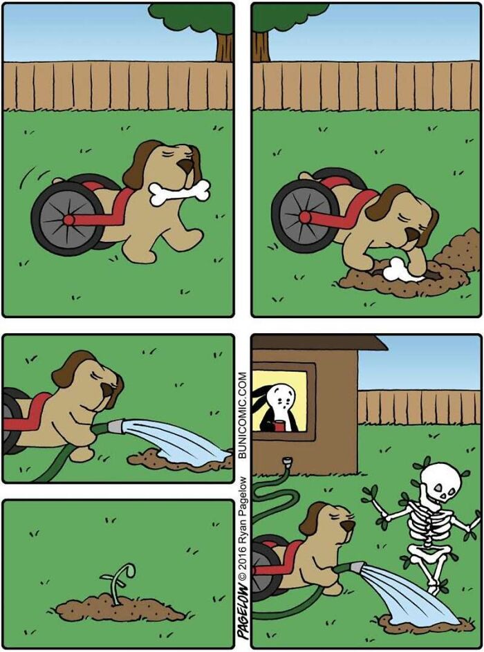 This Grumpy Dog In A Wheelchair Quietly Became One Of The Best Characters In Ryan Pagelow’s Buni Comics (34 Pics)