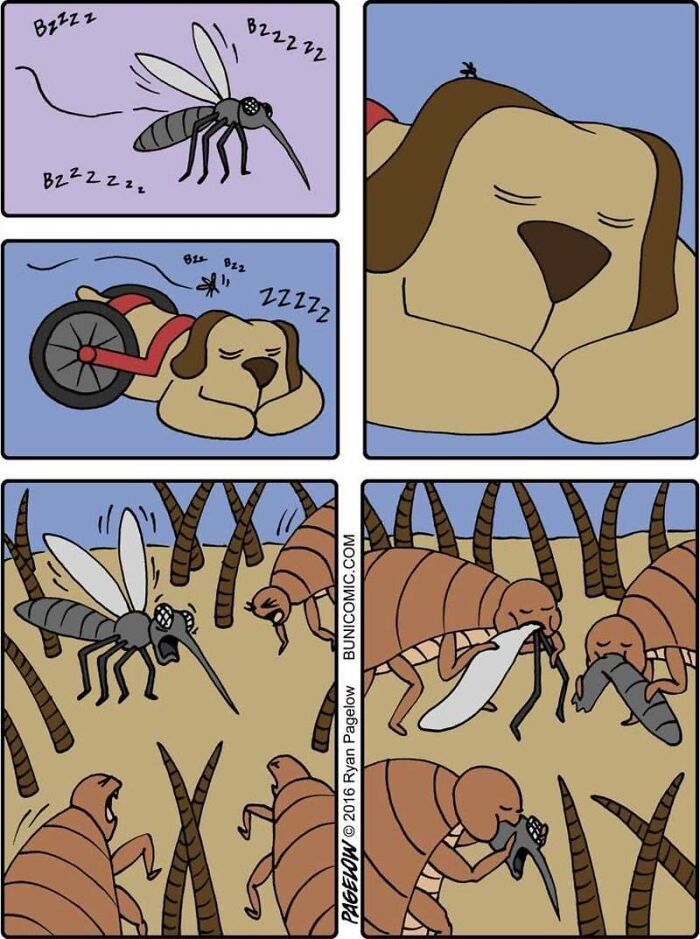 This Grumpy Dog In A Wheelchair Quietly Became One Of The Best Characters In Ryan Pagelow’s Buni Comics (34 Pics)