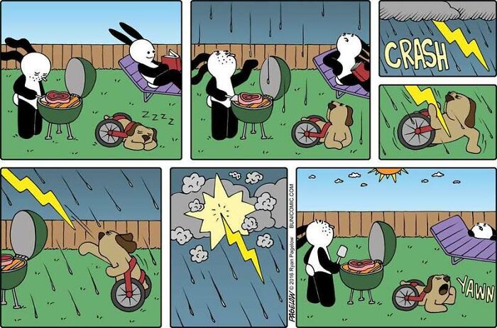 This Grumpy Dog In A Wheelchair Quietly Became One Of The Best Characters In Ryan Pagelow’s Buni Comics (34 Pics)