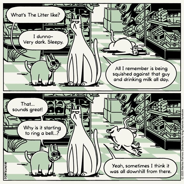 A cartoon of cats with jobs: a cat describes its memory of being in a litter to another cat.