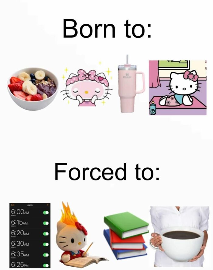 Funny post: Born to Hello Kitty lifestyle vs. forced to early alarms and studying. Relatable funny posts about being a woman.