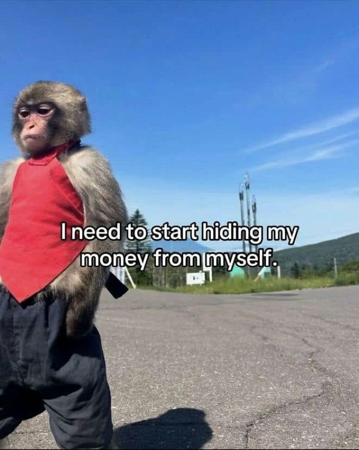 Funny post: Monkey in a red vest and pants, pondering hiding money from self. A funny post about the struggles of being a woman.