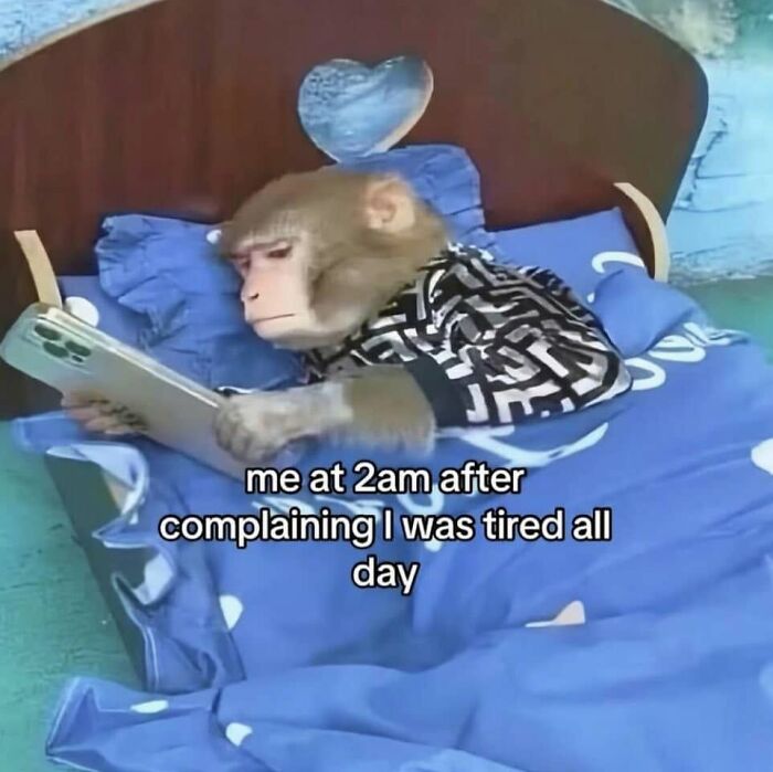 Funny posts about being a woman: A monkey lying in bed on a laptop, complaining about being tired at 2 am.