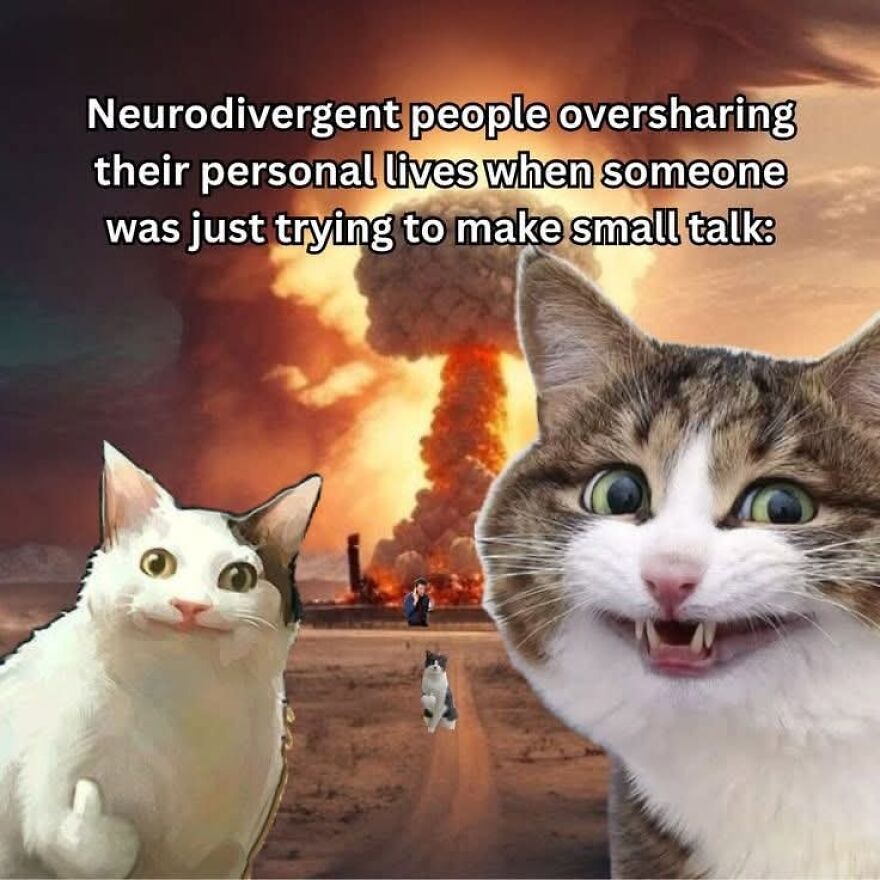 A meme with two smiling cats and a nuclear explosion in the background, representing neurodivergent oversharing.