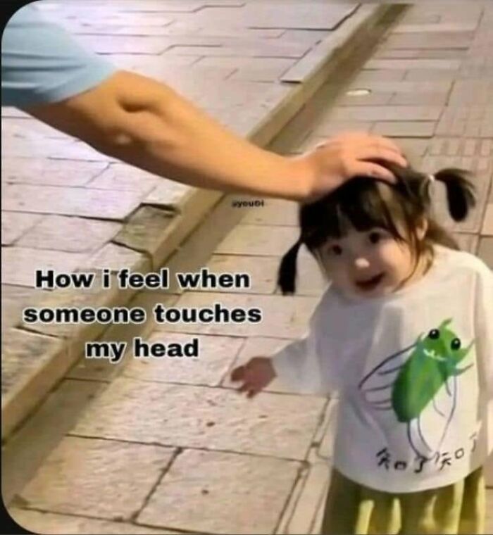 A child with pigtails reacts to a hand touching her head, with text How I feel when someone touches my head, a funny post about being a woman.
