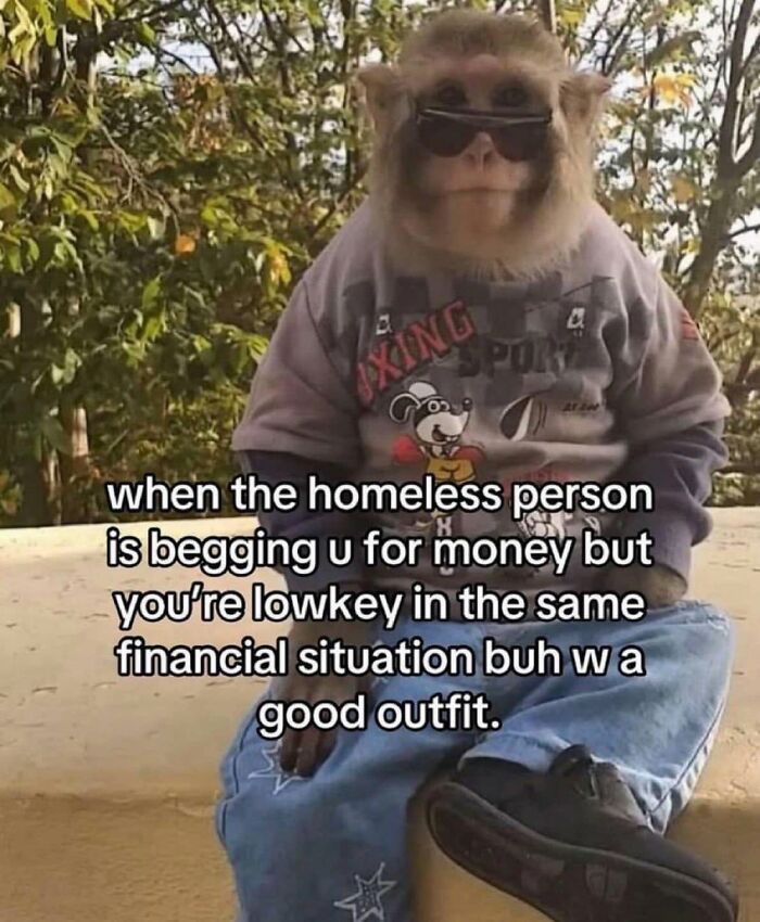 Funny post about being a woman, depicting a monkey in sunglasses and clothes, illustrating a financial struggle meme.
