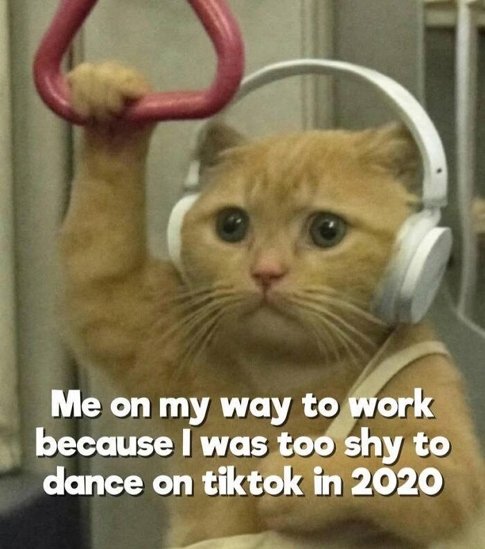Funny post about being a woman, featuring a ginger cat with headphones on a train, for a meme about shyness.