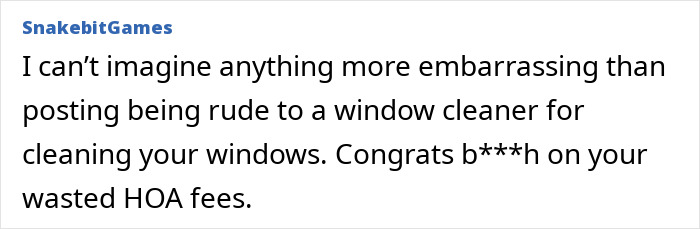 Online comment from 'SnakebitGames' about the Karen posting being rude to a window washer. Online comment from 'SnakebitGames' about the Karen posting being rude to a window washer.