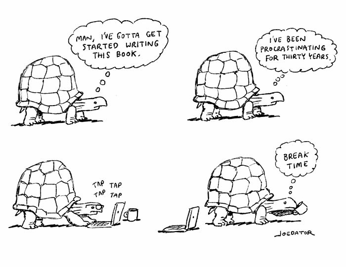 A brilliant single panel cartoon showing a turtle procrastinating writing for 30 years, then immediately taking a break.