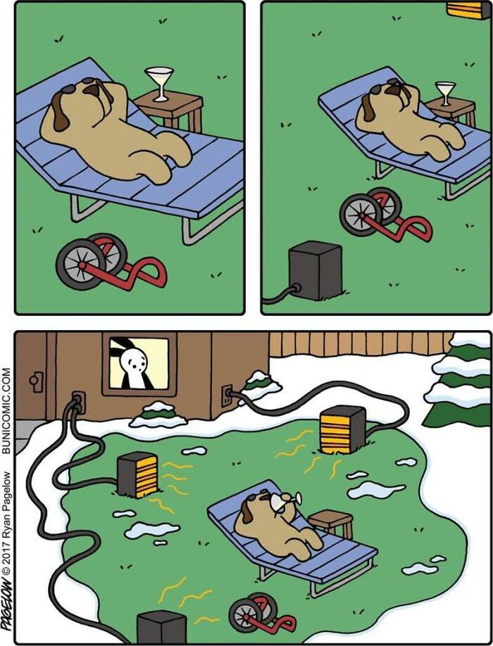 This Grumpy Dog In A Wheelchair Quietly Became One Of The Best Characters In Ryan Pagelow’s Buni Comics (34 Pics)