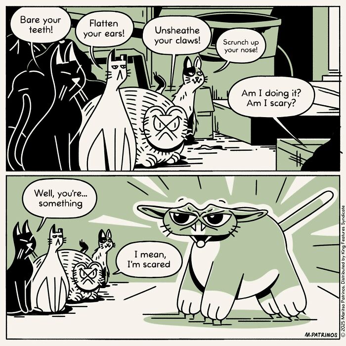 A comic of a cat trying to look scary, illustrating what cats would be like with jobs and coworkers.