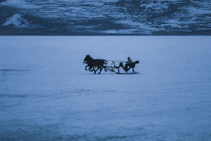 A horse-drawn sleigh on a vast expanse of snow-covered ground, suggesting mysterious things in a cold landscape.