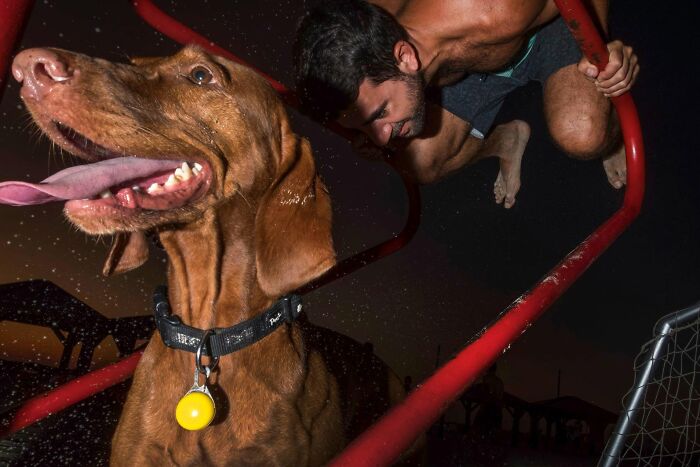 This Photographer Roams The Streets Looking For Unforgettable Dog Moments, And Here Are 50 Of His Best Finds