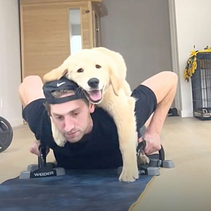 A man doing push-ups with a cute and funny dog on his back, smiling at the camera. Dog pics.