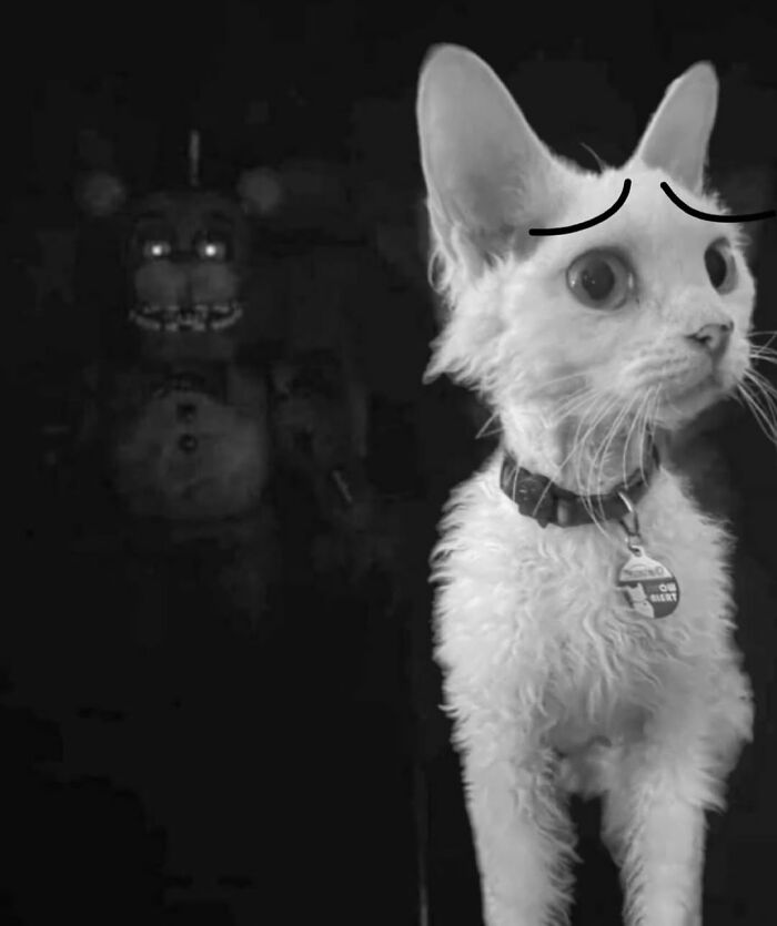 A Devon Rex cat looking startled with glowing Freddy Fazbear animatronic in the dark background, cute moments.
