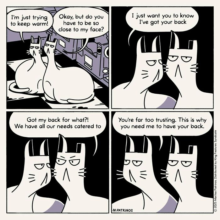 A comic panel featuring two cats interacting closely, showing how cats would be like with jobs and coworkers.