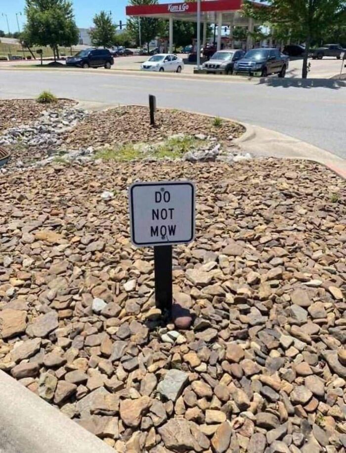 A Do Not Mow sign surrounded by rocks, a ridiculous post illustrating America's cultural decline.