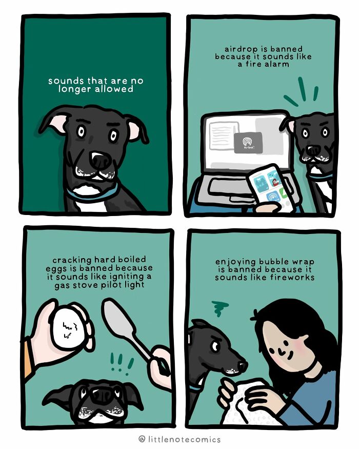 A black dog bans Airdrop, egg cracking, and bubble wrap, showcasing cute comics about pet relationship quirks.
