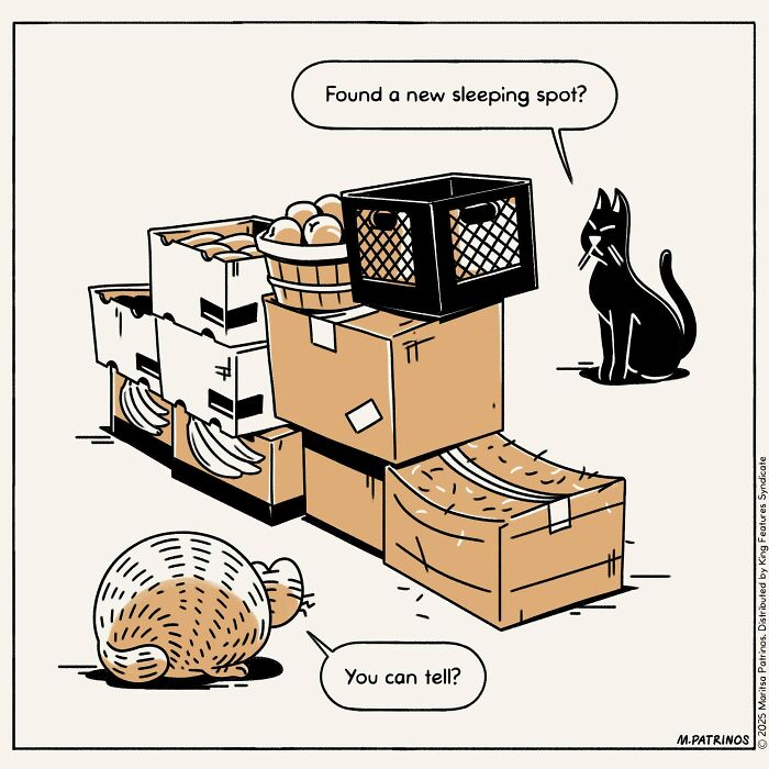 Cartoon of cats with jobs: A cat in a pile of boxes is asked by another cat if it found a new sleeping spot.