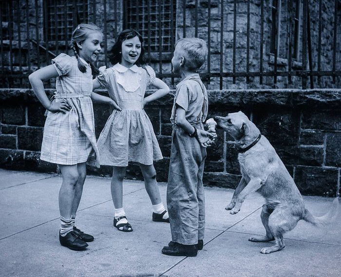 101 Fascinating Historical Photos That Tell Incredible Stories