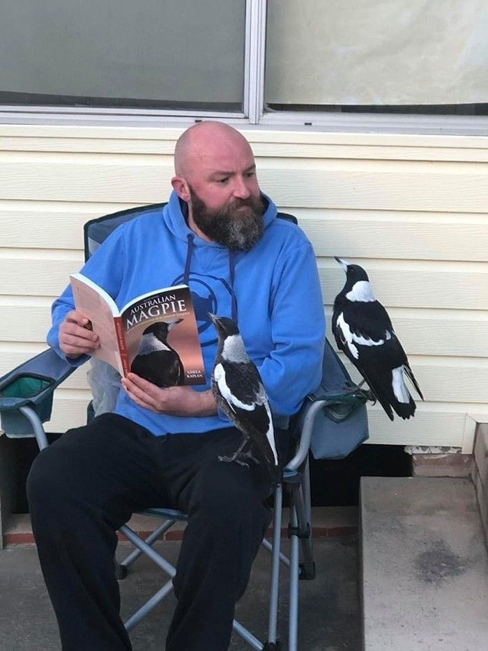 A man reading a book with two funny animal magpies perched nearby, illustrating a humorous interaction.