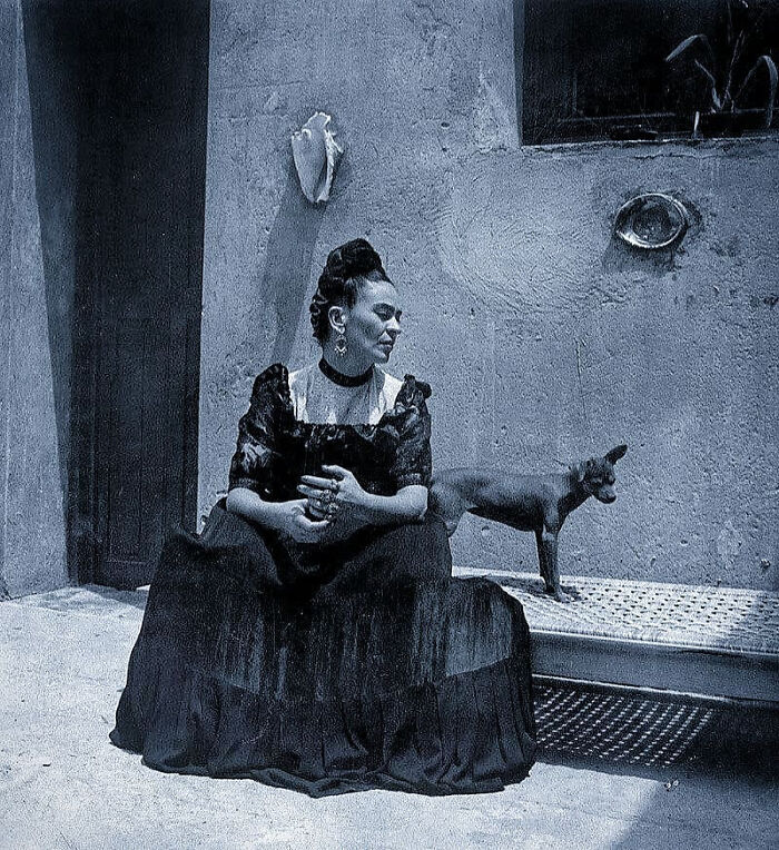 101 Fascinating Historical Photos That Tell Incredible Stories