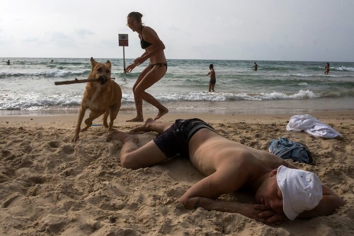 This Photographer Roams The Streets Looking For Unforgettable Dog Moments, And Here Are 50 Of His Best Finds