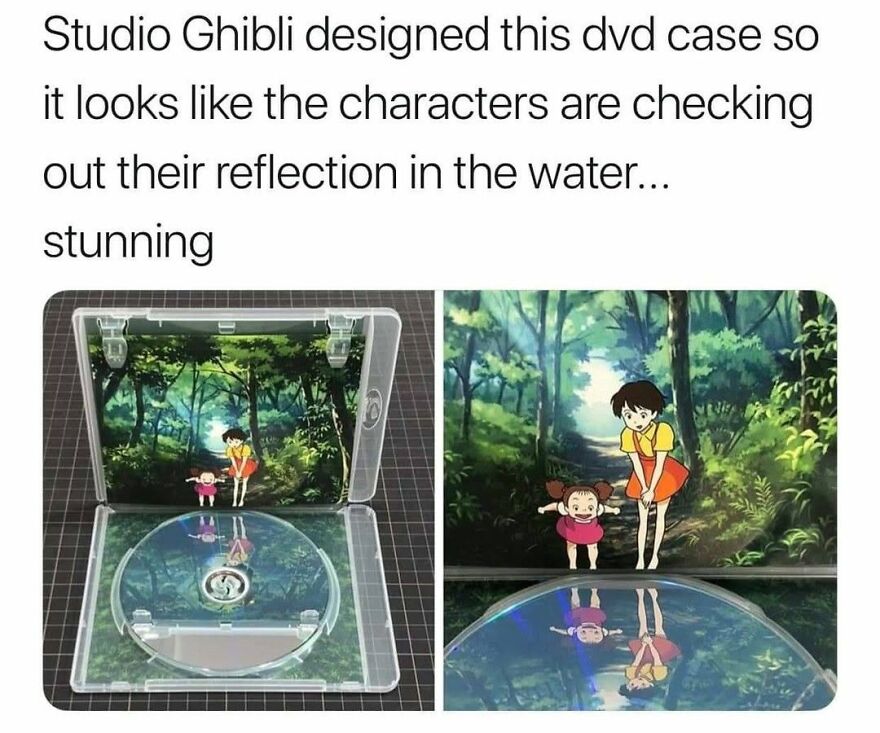 A Studio Ghibli DVD case with characters reflected on the disc, a beautiful design 90s babies appreciate.