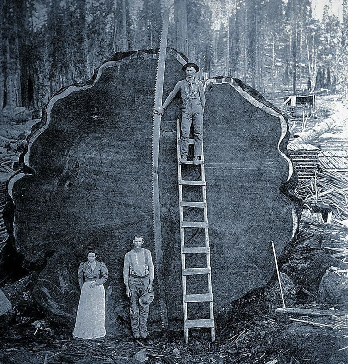 101 Fascinating Historical Photos That Tell Incredible Stories