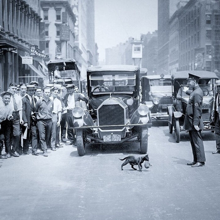 101 Fascinating Historical Photos That Tell Incredible Stories