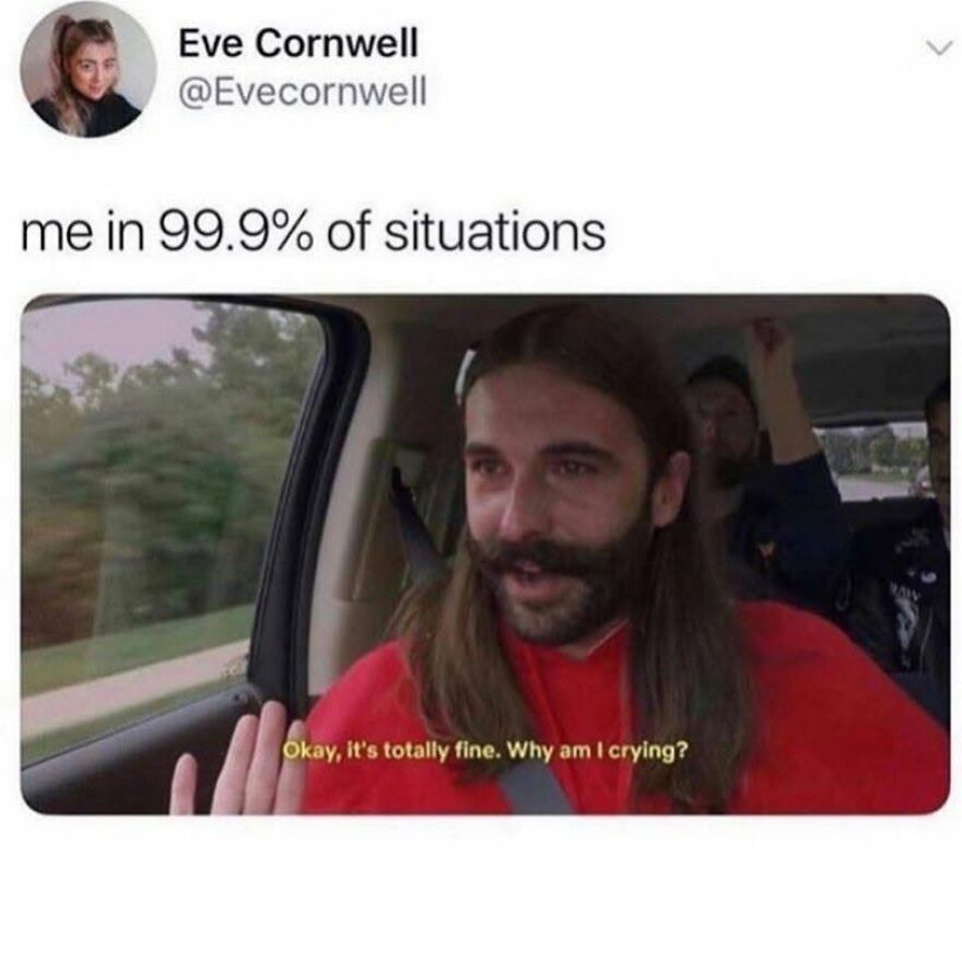 A meme featuring a man with a beard and long hair in a car saying, 'Okay, it's totally fine. Why am I crying?' a relatable '90s babies moment.