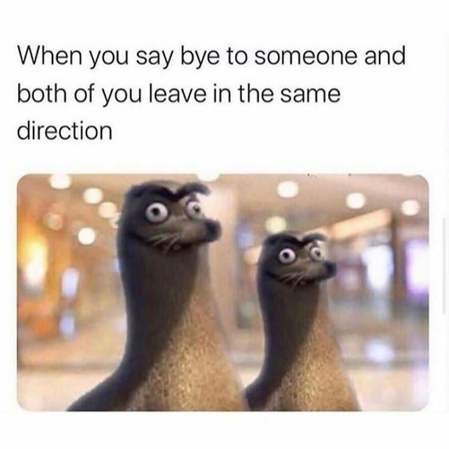 A meme with two seals looking surprised, a common reaction for 90s babies in awkward situations.