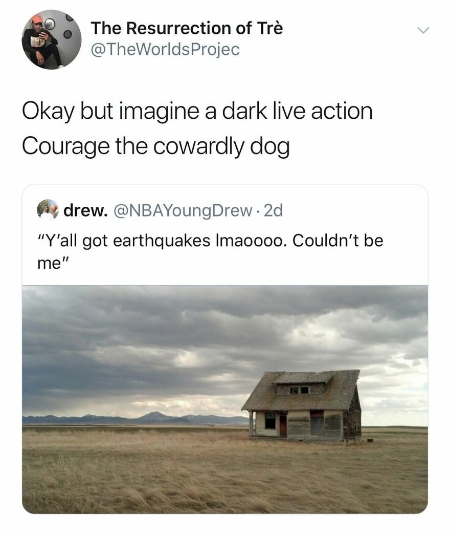 A meme with a picture of an old, abandoned house in a field, captioned with '90s babies might remember this.