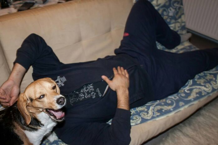 A street photographer captures a serendipitous moment: a man relaxing on a couch with a happy beagle dog.