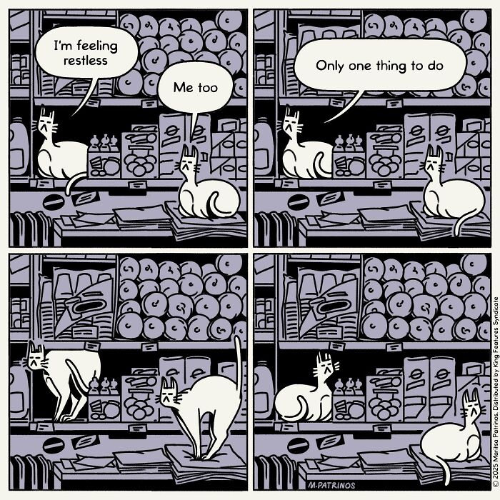 Cartoonist imagines cats with jobs, two cats feel restless then stretch, moving across shelves in a store.