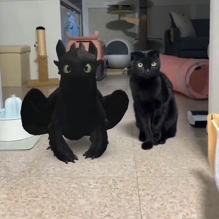 A black cat sits beside an augmented reality Toothless dragon, one of the funniest animal photos shared.