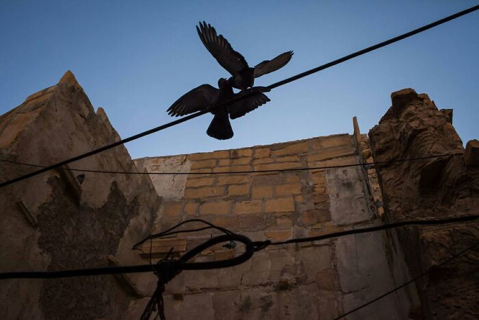 A street photographer captures a serendipitous moment: two pigeons on a wire against a clear sky above old buildings.