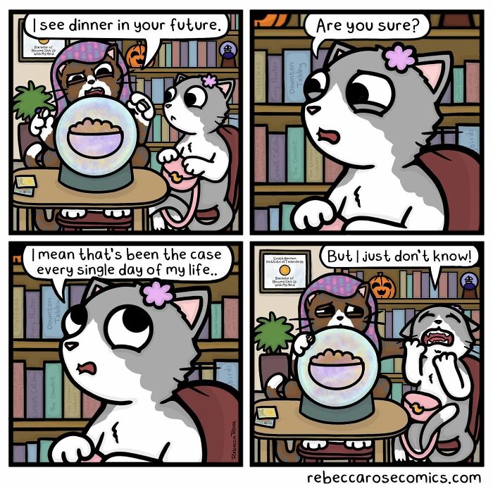 Rebecca Rose comic showing a cat reading a fortune, turning awkward moments into laugh-out-loud situations.
